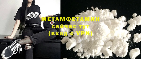 мет Алексин