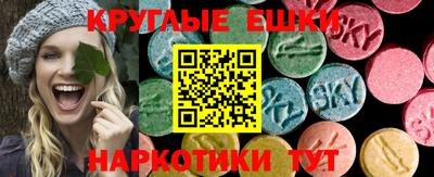 стаф Кинель
