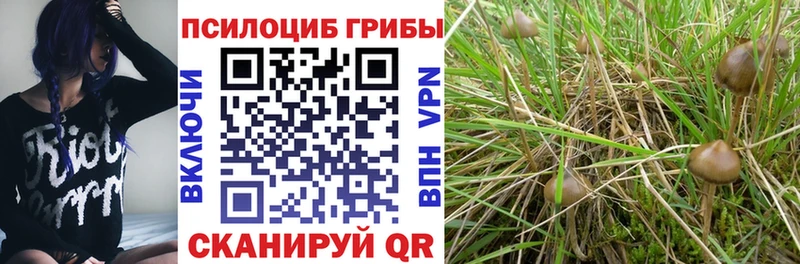 Галлюциногенные грибы ЛСД где купить наркоту darknet состав Кропоткин