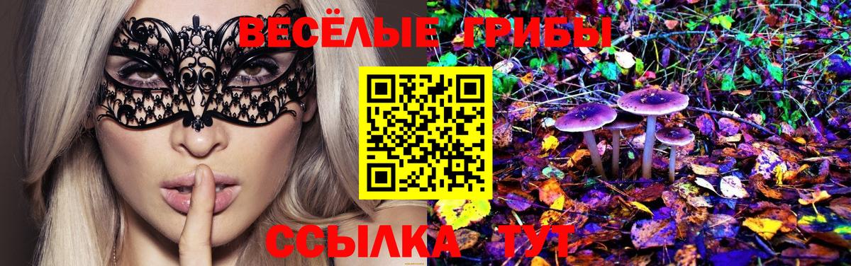 Галлюциногенные грибы Psilocybine cubensis  Вход с VPN  Кропоткин 
